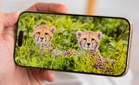 অ্যাপল iPhone 16 Pro 2